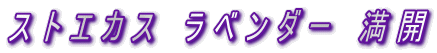 XgGJX x_[ J