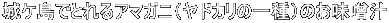 PłƂA}KjihJ̈ĵX`