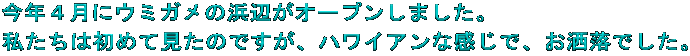 NSɃE~K̕lӂI[v܂B ͏߂Č̂łAnCAȊŁAłB