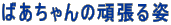 ΂̊撣p