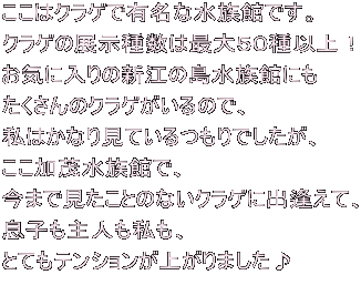 ̓NQŗLȐقłB NQ̓W퐔͍őTOȏI Cɓ̐V]̓قɂ ̃NQ̂ŁA ͂Ȃ茩ĂłA ΐقŁA ܂ŌƂ̂ȂNQɏoāA qlA ƂĂeVオ܂
