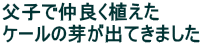 qŒǂA P[̉肪oĂ܂
