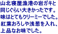 RkQ`̊KL 炢傫łB ͂ƂĂN[~[łB gt낵KA iȂłB