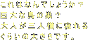 ͂Ȃł傤H Ȓ̑H lOlɐQ 炢̑傫łB