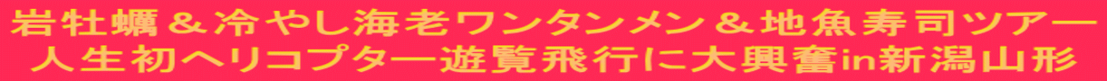 ≲y₵CV^nicA[ lwRv^[Vsɑ勻inVR`