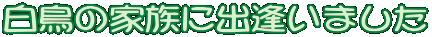 ̉Ƒɏo܂