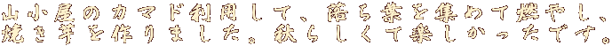 R̃J}hpāAtW߂ĔR₵A Ă܂BH炵ĊyłB