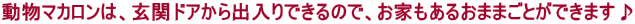 }J́AփhAoł̂ŁAƂ邨܂܂Ƃł܂