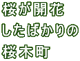 J ΂ ؒ