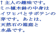 l̎łB ~jAؔ̒g CqoƃT{e łBƂ́A VR΂̔ łB