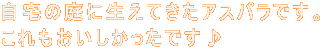̒ɐĂAXpłB ł