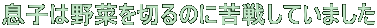 q͖؂؂̂ɋ킵Ă܂