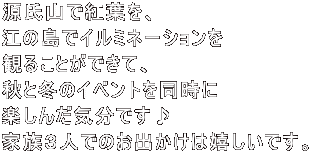 RōgtA ]̓ŃC~l[V ς邱ƂłāA HƓ~̃Cxg𓯎 y񂾋Cł ƑRlł̂o͊łB