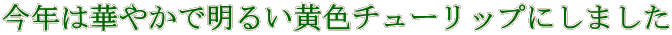 N͉؂₩Ŗ邢F`[bvɂ܂