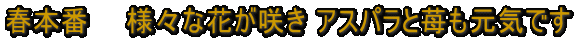 t{  @lXȉԂ炫 AXp䕂Cł