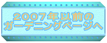 QOOVNȑO K[fjOy[W 