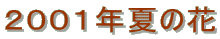 QOOPNẲ