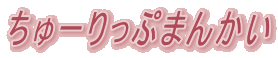 [Ղ܂񂩂
