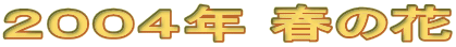 QOOSN t̉
