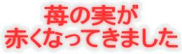 䕂̎
ԂȂĂ܂
