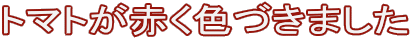 g}gԂFÂ܂
