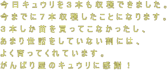 LER{nł܂B
܂łɂV{nƂɂȂ܂B
R{c𔃂ĂȂA
܂萢bĂȂɂ́A
悭ĂĂ܂B
΂艮̃LEɊӁI
