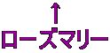  [Y}[ 