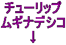 `[bv MifVR 