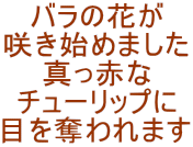 ỏԂ
炫n߂܂
^Ԃ
`[bv
ڂD܂
