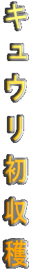LEn 