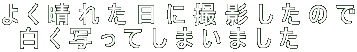 悭ꂽɎBê ʂĂ܂܂   