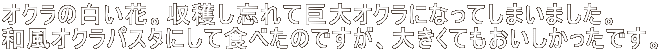IN̔ԁBnYċINɂȂĂ܂܂B aINpX^ɂĐĤׂłA傫ĂłB 