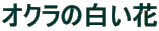 IN̔ 