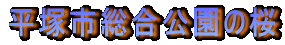 ˎs̍ 