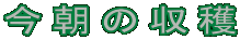 ̎n 