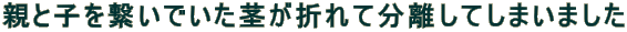 eƎqqłs܂ĕĂ܂܂ 