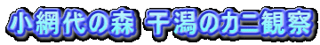 ԑ̐X ̃Jjώ@