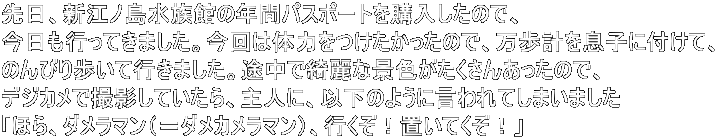AV]mق̔NԃpX|[gŵŁA sĂ܂B̗͑͂̂ŁAv𑧎qɕtāA ̂тčs܂BrYȌiF񂠂̂ŁA fWJŎBeĂAlɁAȉ̂悤ɌĂ܂܂ uقA_}i_J}jAsIuĂIv 