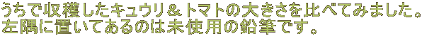 ŎnLEg}g̑傫ׂĂ݂܂B
ɒuĂ͖̂gp̉MłB
