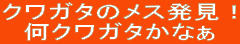 NK^̃XI
NK^Ȃ
