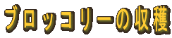 ubR[̎n 