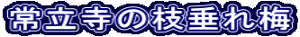 헧̎}~
