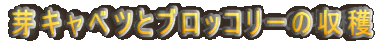 LxcƃubR[̎n