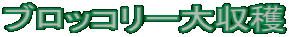 ubR[n