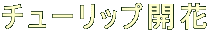 `[bvJ
