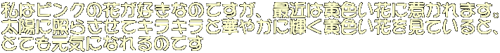 ̓sN̉ԂDȂ̂łAŋ߂͉FԂɎ䂩܂B zɏƂ炳ăLLƉ؂₩ɋPFԂĂƁA ƂĂCɂȂ̂ł 
