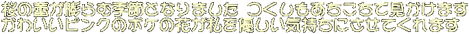 QcދG߂ƂȂ܂ Ō܂ 킢sÑ{P̉ԂDCɂĂ܂ 