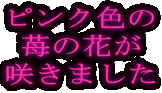 sNF
䕂̉Ԃ
炫܂
