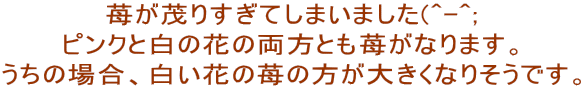 䕂΂肷Ă܂܂(^-^;
sNƔ̉Ԃ̗Ƃ䕂Ȃ܂B
̏ꍇAԂ䕂̕傫Ȃ肻łB
