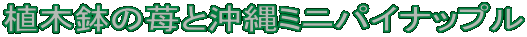 Aؔ䕂Ɖ~jpCibv 
